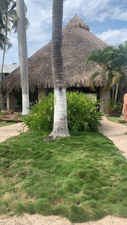 Foto de la galeria de imagenes